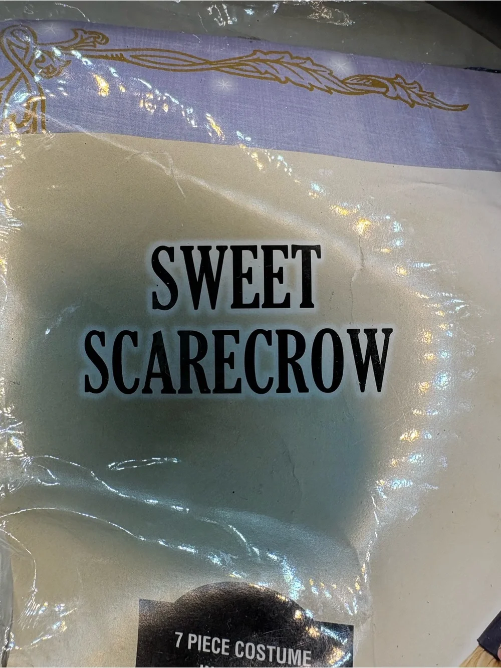 Sweet Scarecrow Junior Large Costume - Navy and Brown with Stocking and Hat